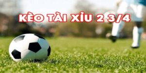 Kèo Tài Xỉu 2 3/4 Nghĩa Là Sao Cùng Bí Quyết Thắng Lớn 